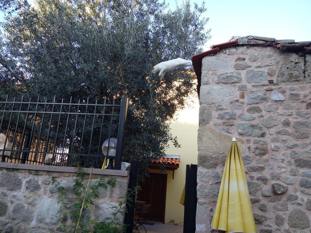 Aristonicus Boutique Hotel Bergama Εξωτερικό φωτογραφία